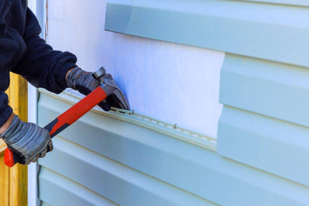 Best Custom Trim and Detailing for Siding  in Baileyton, AL